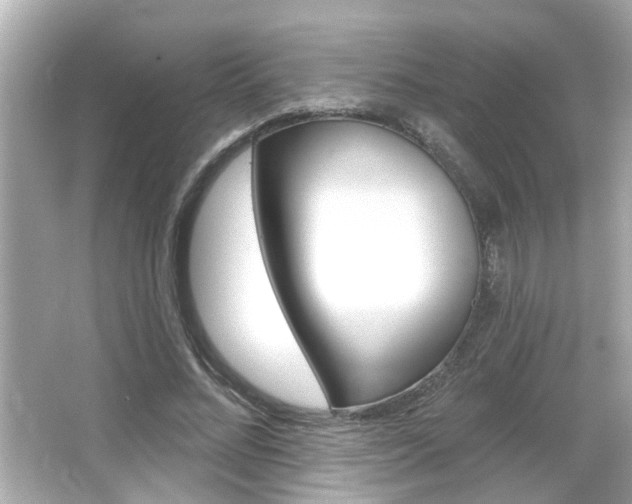 X0000066490684200603170924