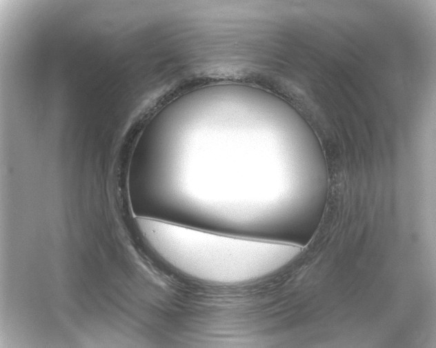 X0000066490688200603170924