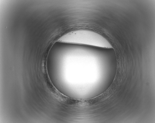 X0000066490696200603170924