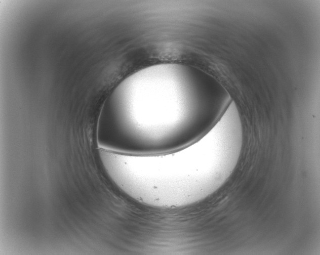 X0000066490697200603170924