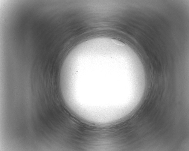 X0000066490701200603170924