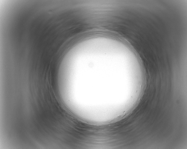 X0000066490705200603170924