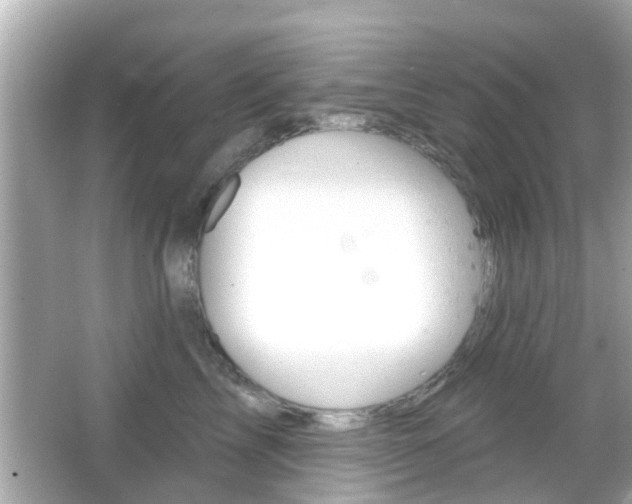 X0000066490713200603170924