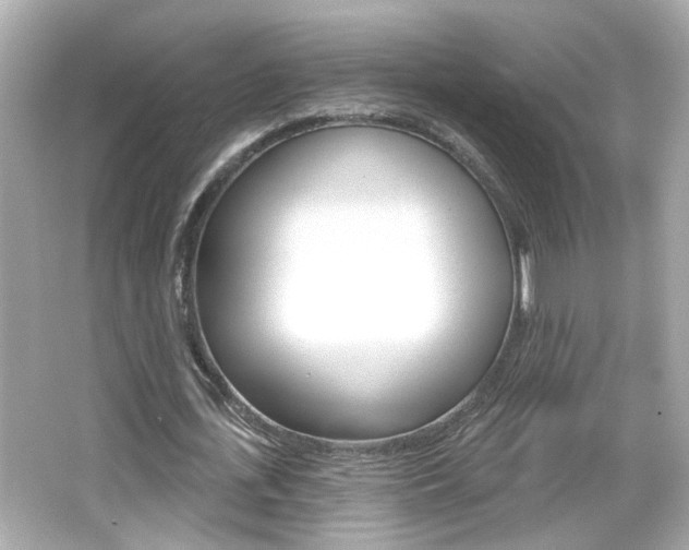 X0000066490723200603170923
