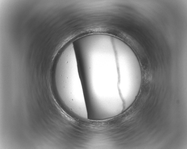 X0000066490725200603170923
