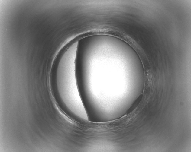 X0000066490726200603170923