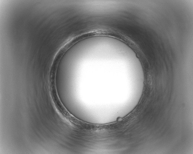 X0000066490730200603170923