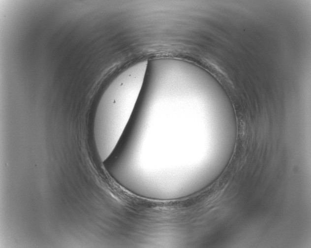 X0000066490733200603170923