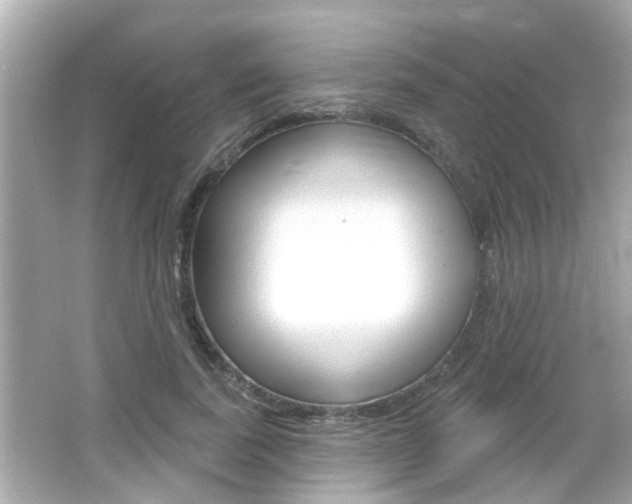 X0000066490739200603170923