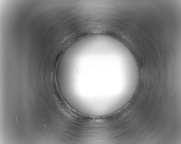 X0000066490741200603170923