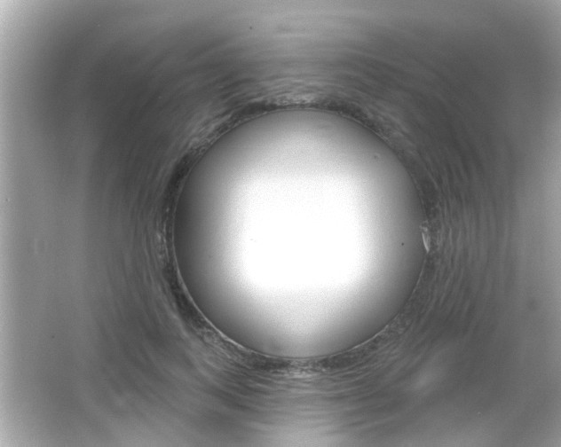 X0000066490743200603170923