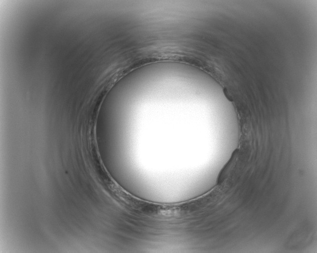 X0000066490744200603170923