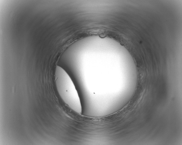 X0000066490745200603170923