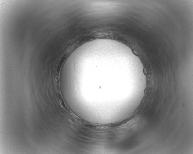 X0000066490753200603170923