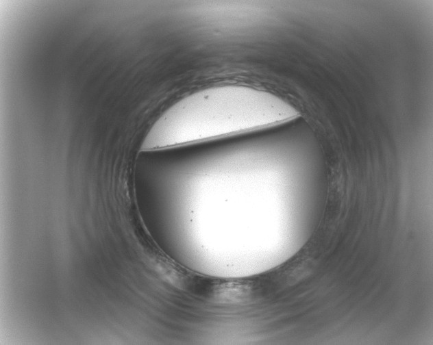 X0000066490754200603170923