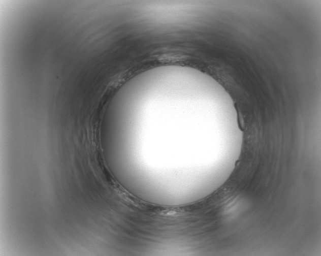 X0000066490755200603170924