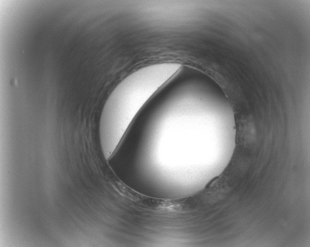 X0000066490760200603170924