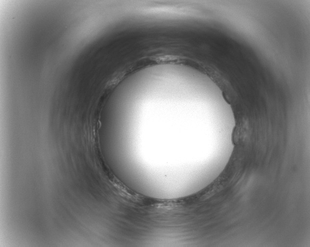 X0000066490763200603170924
