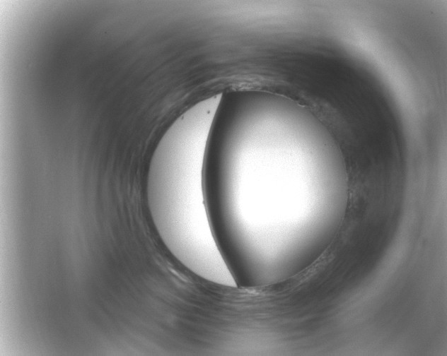 X0000066490766200603170924