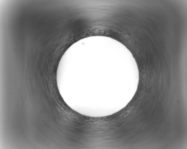 X0000066490769200603170923