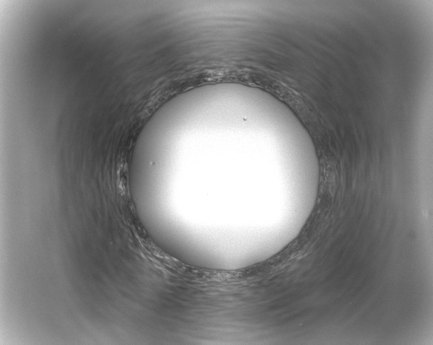 X0000066490770200603170923