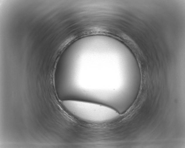 X0000066490785200603170923