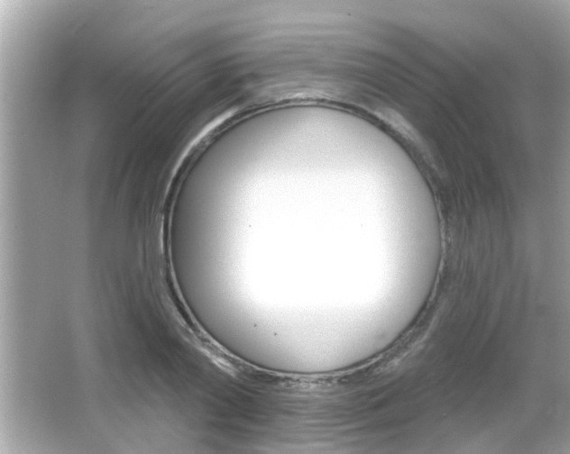X0000066490790200603170923