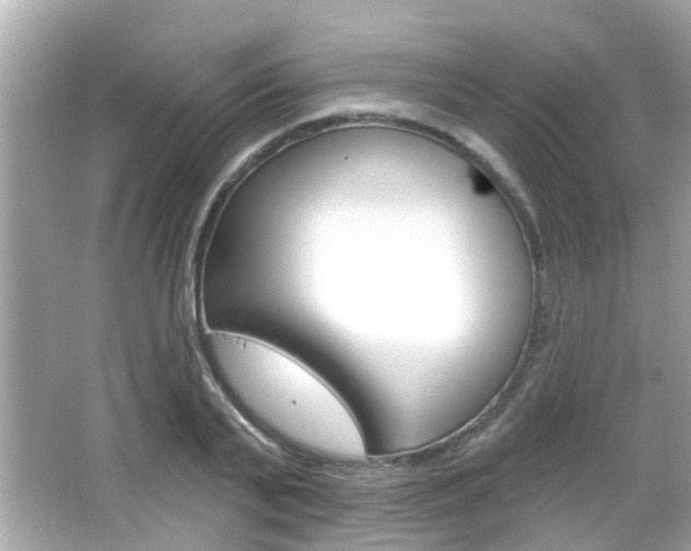 X0000066490791200603170923