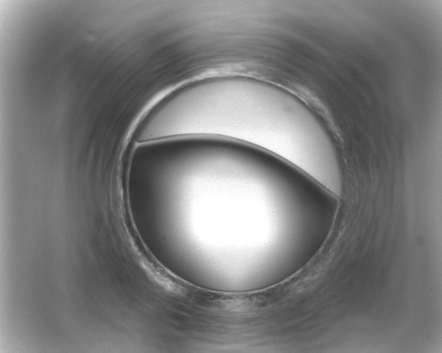 X0000066490792200603170923