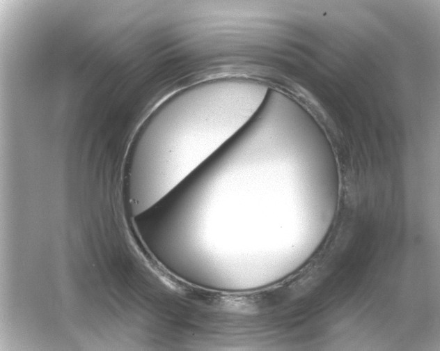 X0000066490794200603170923