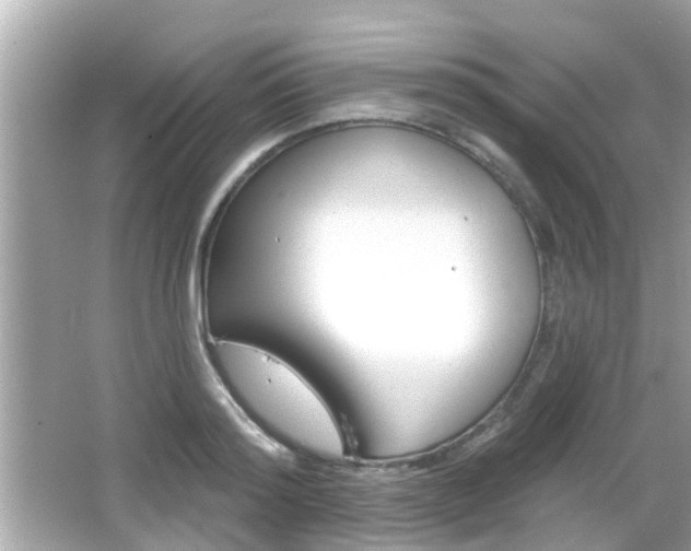 X0000066490796200603170922