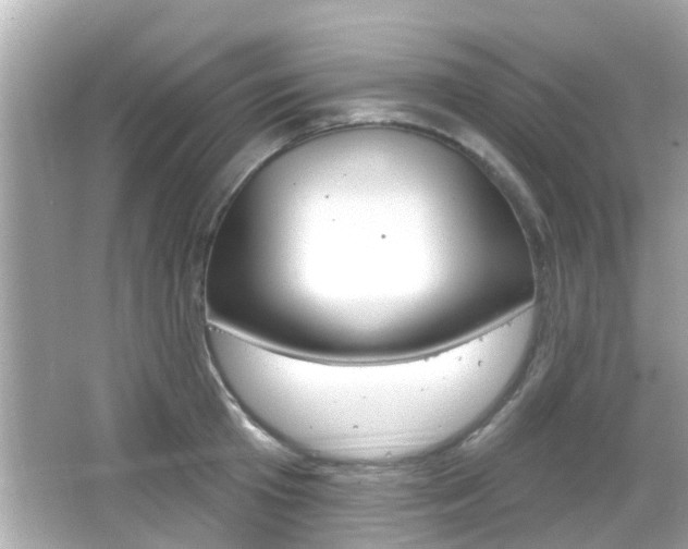 X0000066490801200603170922