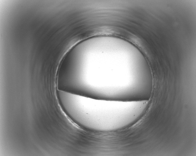 X0000066490802200603170922