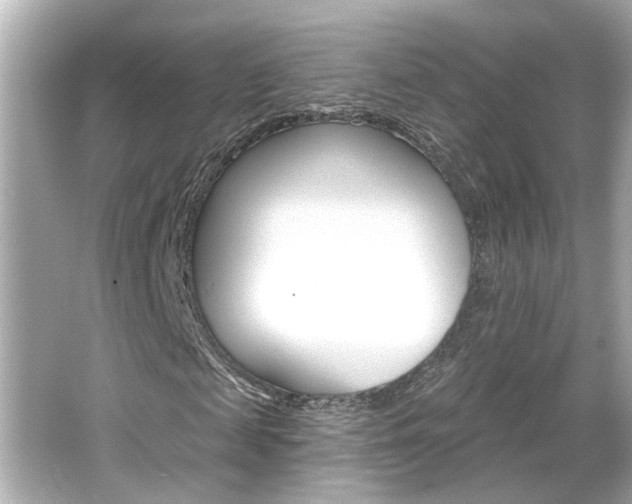X0000066490817200603170921