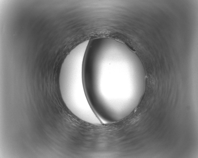 X0000066490818200603170921