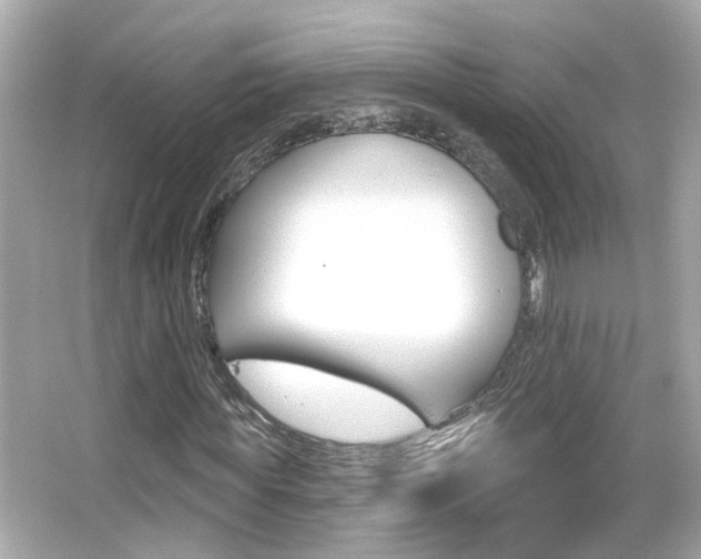 X0000066490819200603170921