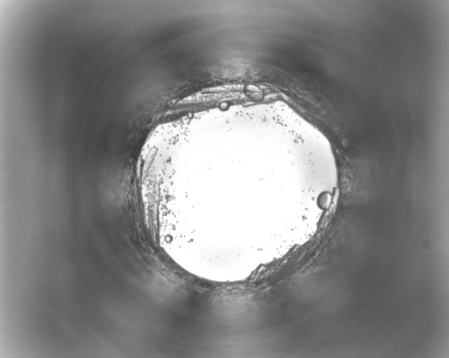 X0000066490820200603170921