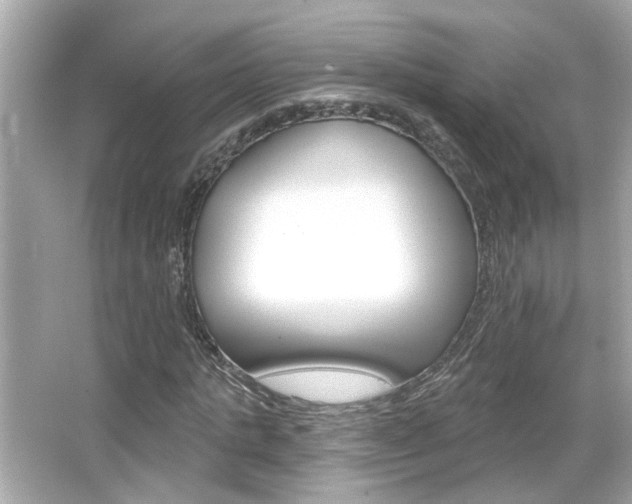 X0000066490821200603170921