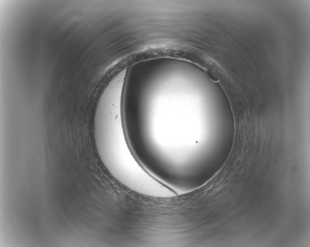 X0000066490822200603170921