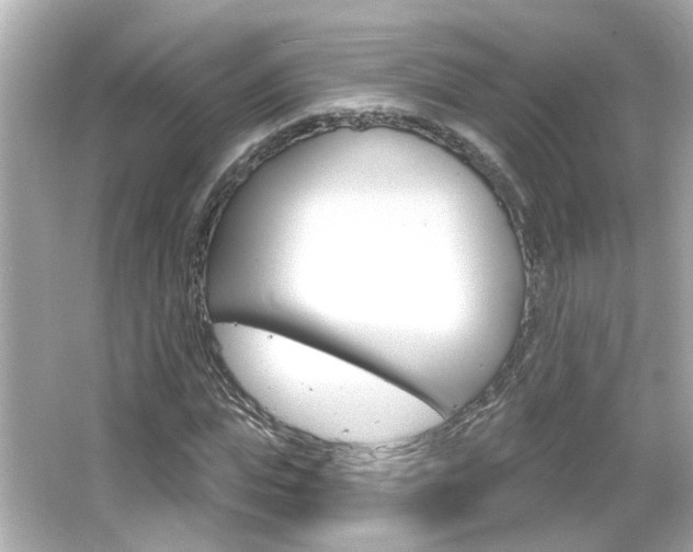 X0000066490823200603170921