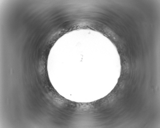 X0000066490824200603170921