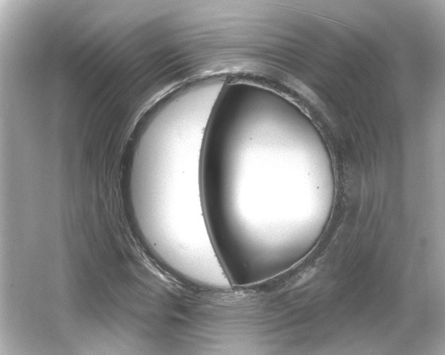 X0000066490826200603170921