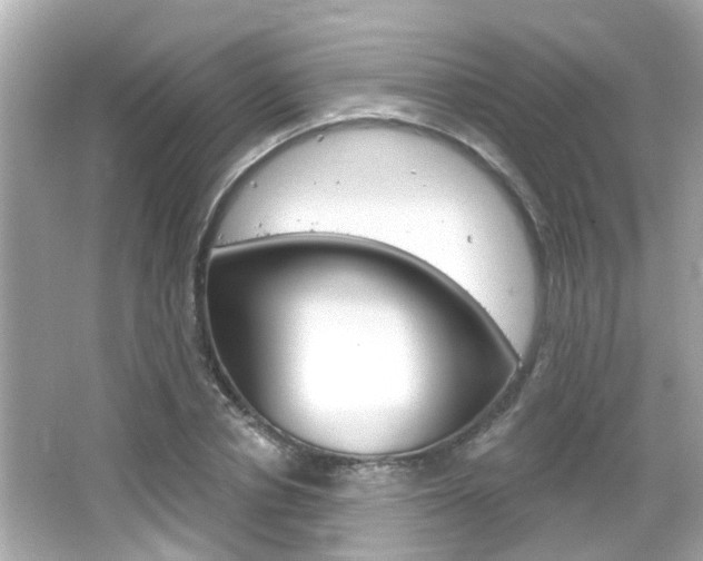 X0000066490834200603170922
