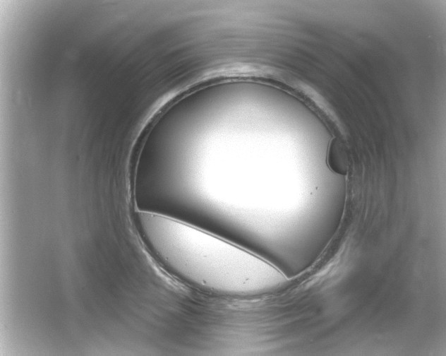 X0000066490837200603170922