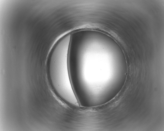 X0000066490838200603170922
