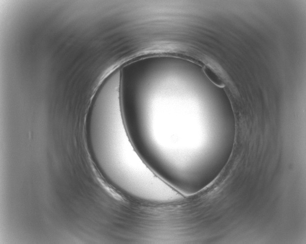 X0000066490842200603170922