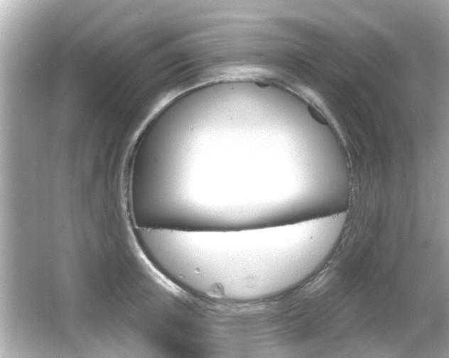 X0000066490851200603170922