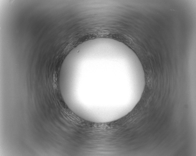 X0000066490866200603170921