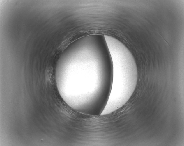 X0000066490867200603170921