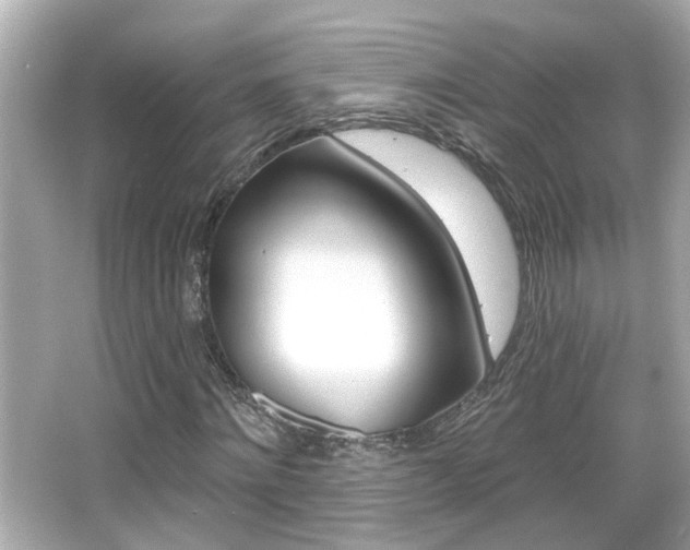 X0000066490868200603170921